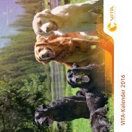 VITA-Kalender2016_RZ_Druck-2