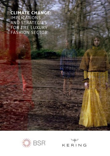 Climate Change Implications and Strategies for the Luxury Fashion Sector