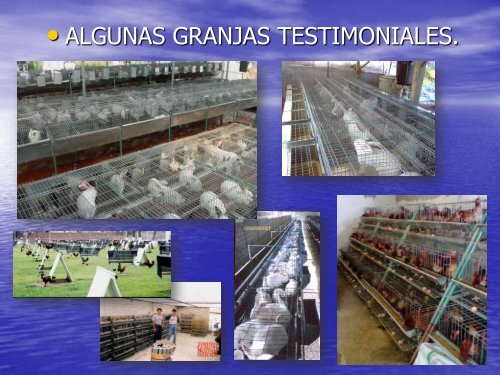 Productos Veterinarios Desde 1990