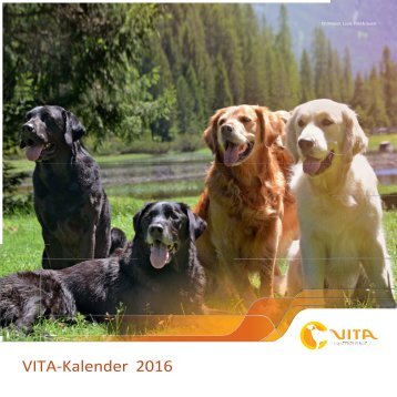 VITA-Kalender2016_r