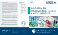 INGENIERÍA EN PREVENCIÓN DE RIESGOS Y MEDIO AMBIENTE