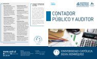 CONTADOR PÚBLICO Y AUDITOR