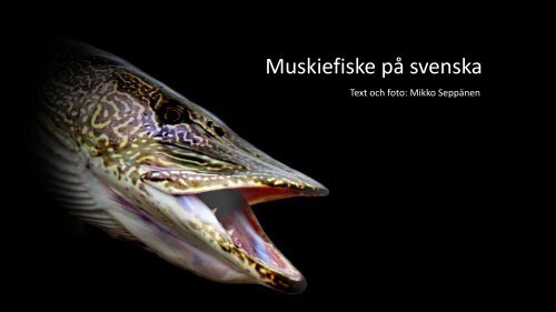 Muskiefiske på svenska