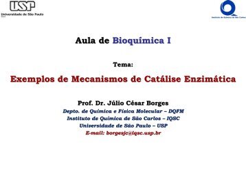 Aula de Bioquímica I Exemplos de Mecanismos de Catálise Enzimática
