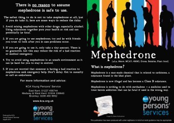 Information Leaflet Mephedrone