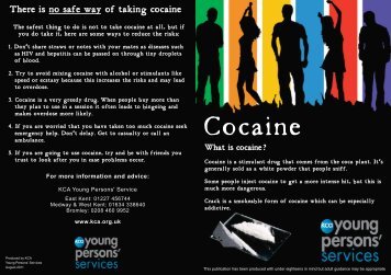 Information Leaflet Cocaine