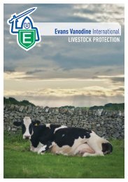 Evans Vanodine International