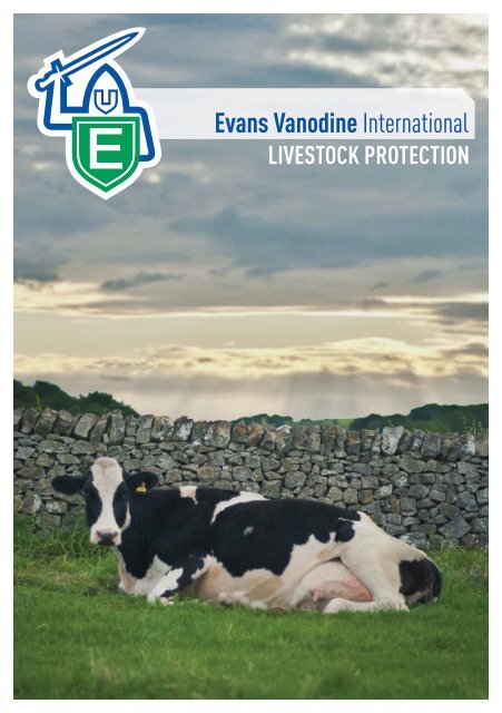 Evans Vanodine International