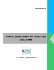 MANUAL DE ORGANIZACIÓN Y FUNCIONES DE LAS RIISS