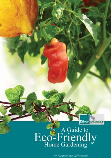 A Guide to Eco-Friendly Home Gardening