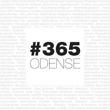 365odense_