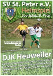 SVS-Heimspiel 2015/16-08