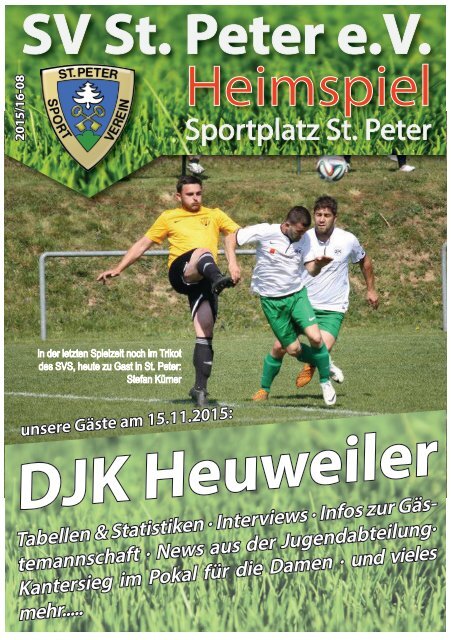 SVS-Heimspiel 2015/16-08