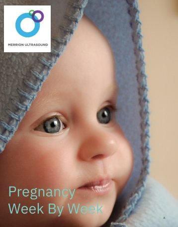 Pregnancy Week By Week - By Merrion Fetal Health