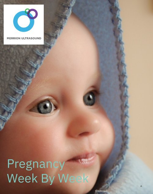 Pregnancy Week By Week - By Merrion Fetal Health