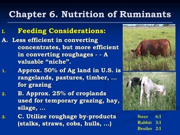 Chapter 6 Nutrition of Ruminants