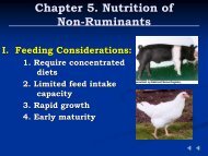 Chapter 5 Nutrition of Non-Ruminants