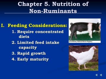 Chapter 5 Nutrition of Non-Ruminants