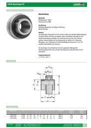 24230 Spannlager UC