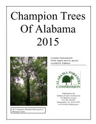 Champion Trees Of Alabama 2015
