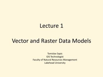 Lecture 1 Vector and Raster Data Models
