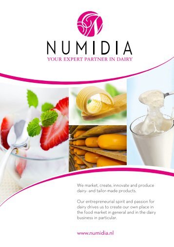 numidia your expert partner in dairy