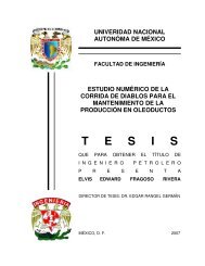 Estudio numerico de la corrida de diablos para el mantenimiento de la produccion en oleoductos