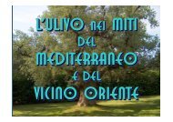 L'ulivo nei miti del Mediterraneo e del vicino Oriente