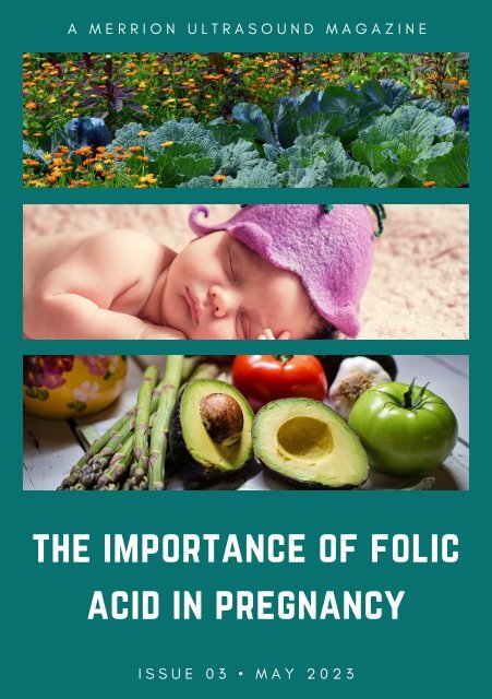 The Importance of Folic Acid in Pregnancy - Includes Recipes-By Merrion Fetal Health