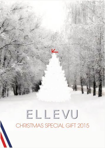 ELLEVU-Christmas2015-FR