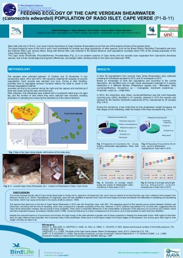 Alcyon Project: Protecting seabird and marine IBAs in West Africa