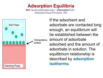 Adsorption Isotherms