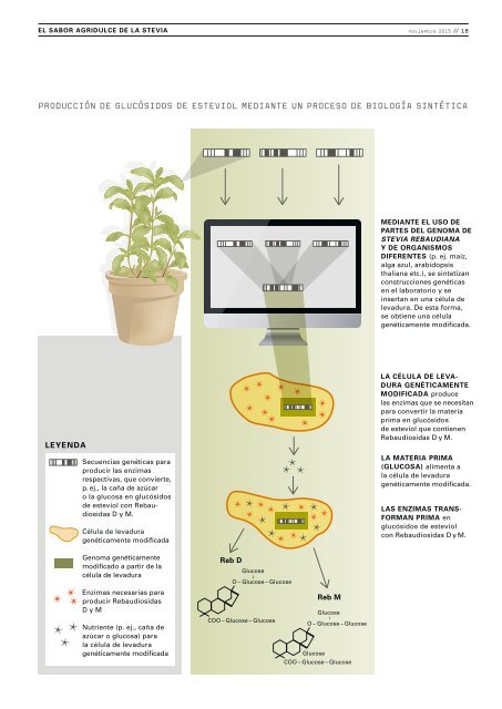 LA STEVIA