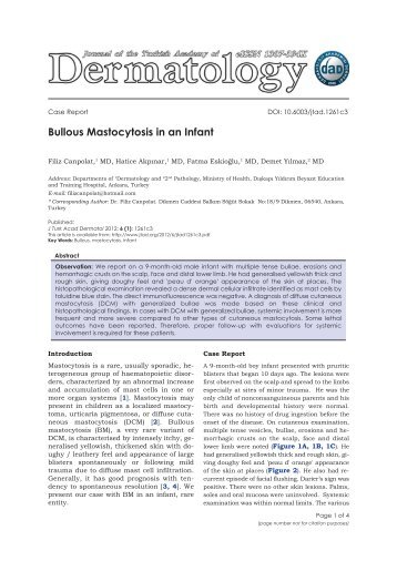 Bullous Mastocytosis in an Infant