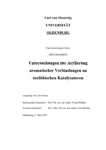 diplomarbeit - Technische Chemie 2 Rößner - Carl von Ossietzky ...