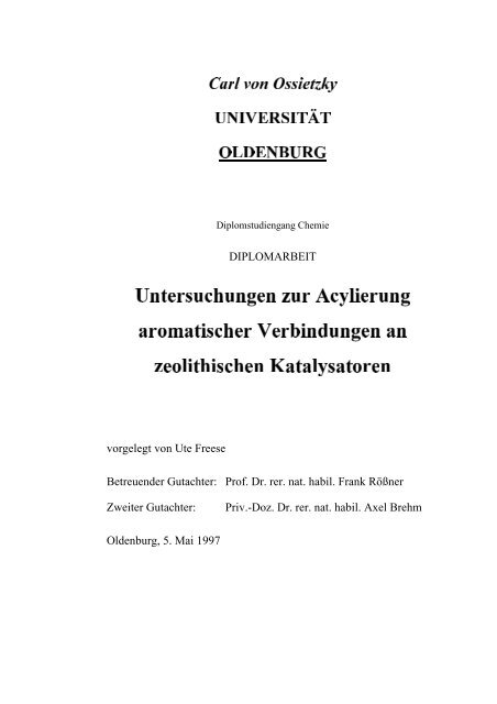 diplomarbeit - Technische Chemie 2 Rößner - Carl von Ossietzky ...