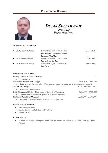 Dejan Sulejmanov - Professional resume