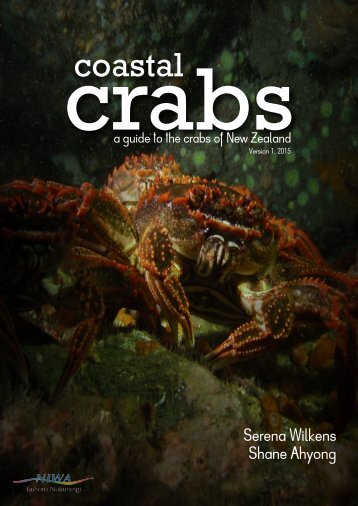 crabs