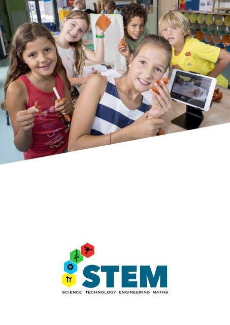 STEM-kader voor het Vlaamse onderwijs