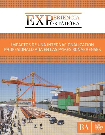 PROFESIONALIZADA EN LAS PYMES BONAERENSES