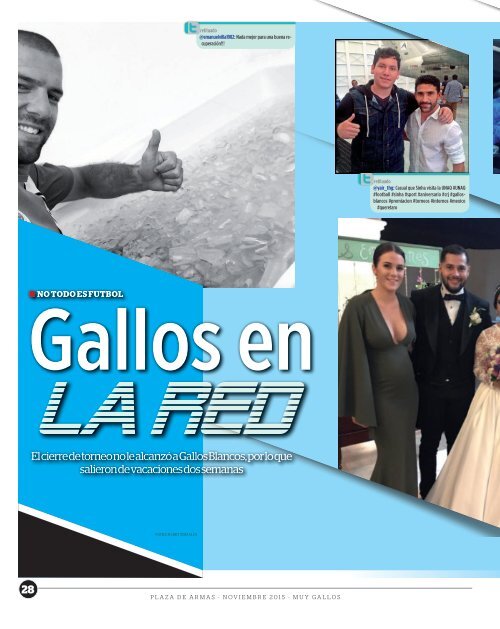 MUY GALLOS #8 24NOV 2015