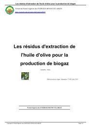 Les résidus d'extraction de l'huile d'olive pour la production de biogaz