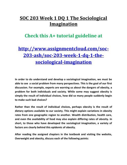 sociological imagination perspective