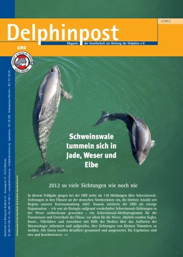 Schweinswale tummeln sich in Jade, Weser und Elbe