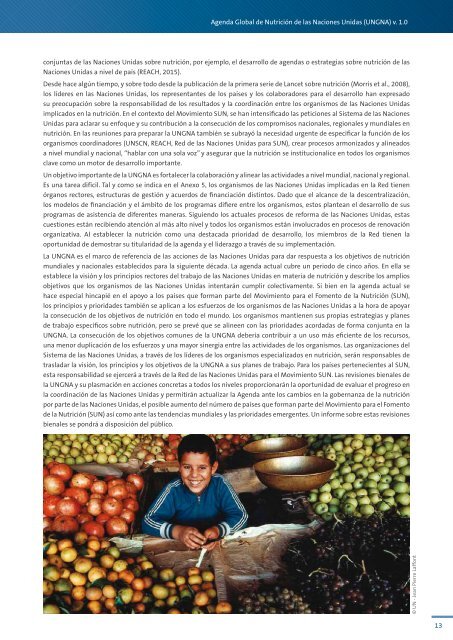 Agenda Global de Nutrición de las Naciones Unidas La