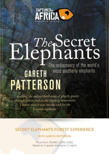 SECRET ELEPHANTS FOREST EXPERIENCE