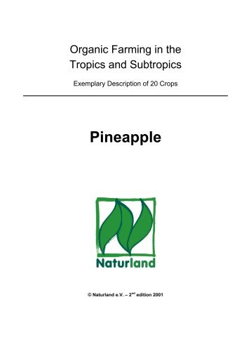 Organic Farming in the Tropics and Subtropics: Pineapple - Naturland