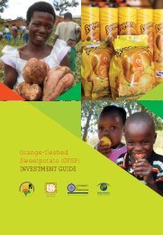 Orange-fleshed Sweetpotato (OFSP) INVESTMENT GUIDE