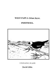 WEST PAPUA (Irian Jaya), INDONESIA. - Burung-Nusantara / Birds ...