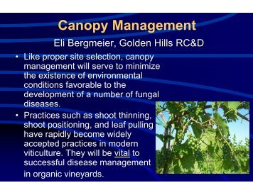 Canopy Management - Viticulture Iowa State University